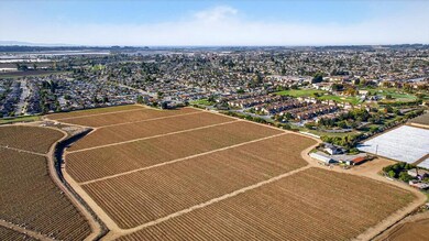 620 Condit Ln, Watsonville, CA 95076 - photo 4