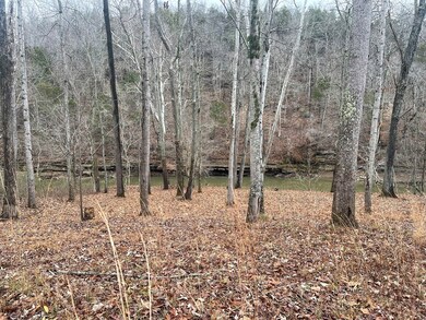 0 Cane Creek Rd unit 216390, Sparta, TN 38583 - photo 7