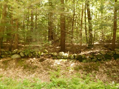 711 Webster Mills Rd, Pittsfield, NH 03263 - photo 3