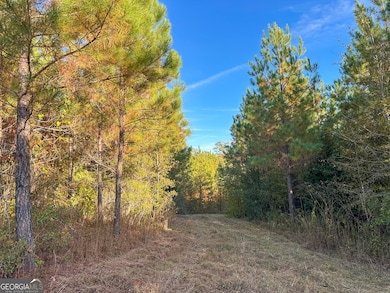 0 Jordon Rd unit 10652075, Waverly Hall, GA 31831 - photo 2