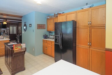 9844 S 10th St, Schoolcraft, MI 49087 - photo 5