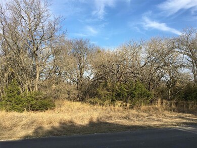 38009 Cedar Trail, Whitney, TX 76692 - photo 2