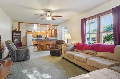 113 Walnut St, Scio, OH 43988 - photo 5