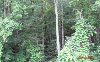 Additional View
