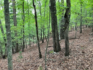 Lot 41 Floris Mountain Rd, Murphy, NC 28906 - photo 6