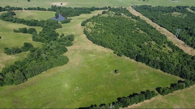 Bird's eye view of a heavily wooded area