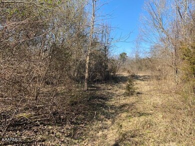 6717 washington pic 4