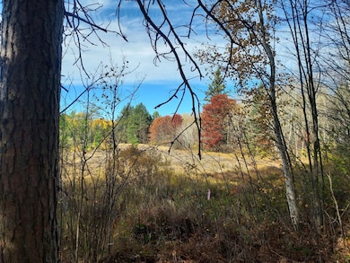 0 Burrows Lake Rd, Little Rice, WI 54487 - photo 3
