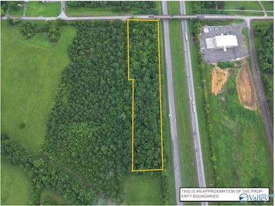 3.66 acres Piney Grove Rd, Falkville, AL 35622 - photo 3