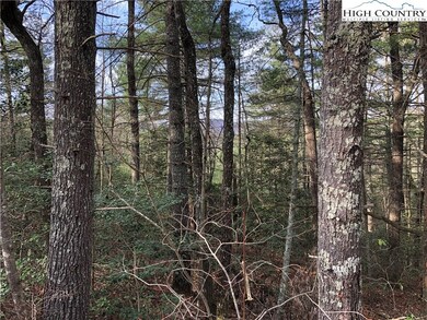 63 Deer Run, Purlear, NC 28665 - photo 5