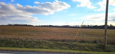 0 New York 96a, Romulus, NY 14541 - photo 3