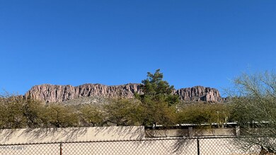 IMG_2800
