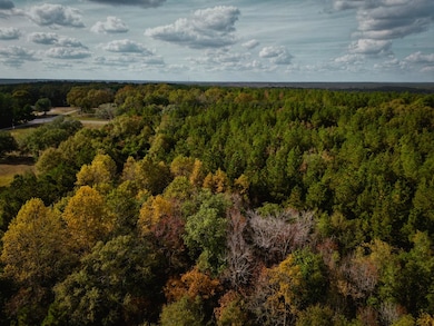 7.32 Ac Oscar Lee Rd, Poplarville, MS 39470 - photo 4