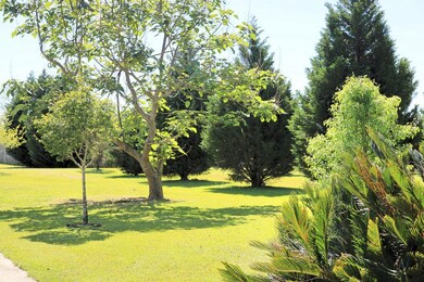 1126 Pierce Chapel Rd, Cairo, GA 39828 - photo 5