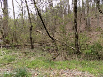 Lot 85 Rd Frontage