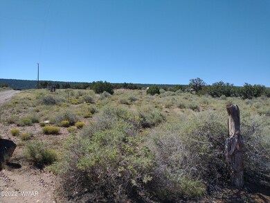 4056 Sorrel Rd, Snowflake, AZ 85937 - photo 7