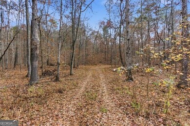 0 Flowery Branch Rd unit 10651048, Kingston, GA 30145 - photo 4