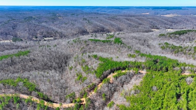 0 Old Mail Rd unit RTC2797249, Duck River, TN 38454 - photo 5