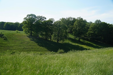 339 Mcnutt Rd, Bear Creek, AL 35543 - photo 5