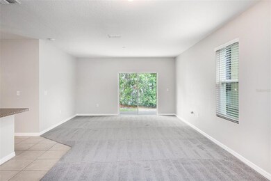 10222 Hawk Storm Ave, Tampa, FL 33610 - photo 4