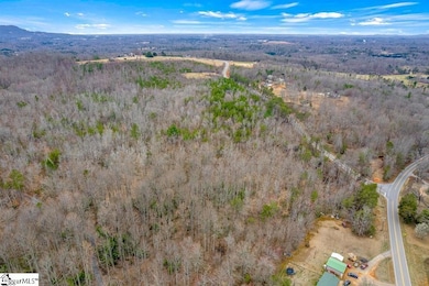 000000 Tubbs Mountain Rd, Travelers Rest, SC 29690 - photo 2