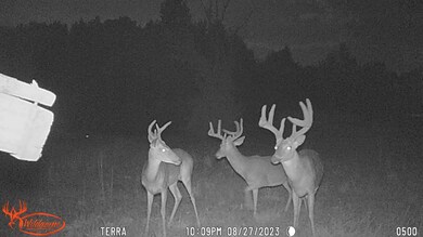 3751 Old Dixie Hwy SE, Dalton, GA 30721 - photo 6