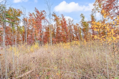 V/L 16 Mile Rd, Big Rapids, MI 49307 - photo 7