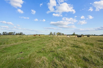 00 Hurta, Needville, TX 77461 - photo 2