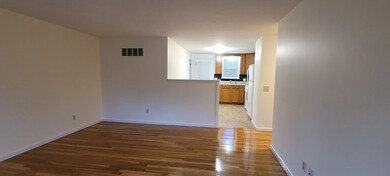 45 Cobb Dr unit 47, Rockland, MA 02370 - photo 7