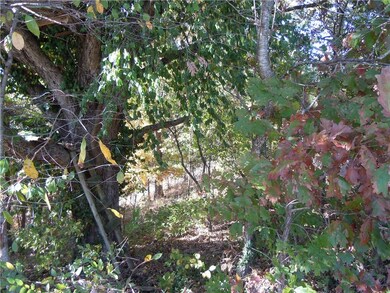 100 Shelton Dr, Eureka Springs, AR 72632 - photo 3