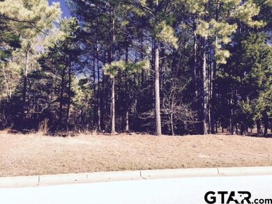 6082 Graemont Blvd, Tyler, TX 75703 - photo 3