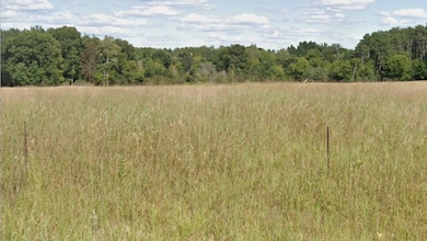 252xx Durant St NE, Isanti, MN 55040 - photo 4