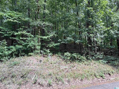 Lot 15 Davis Dr unit 15, Glencoe, AL 35905 - photo 3