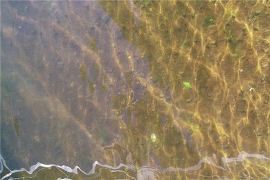 Great mix of hardwoods, pines and birch throughout the lot