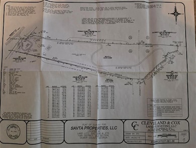 14694 Highway 515 N, Ellijay, GA 30536 - photo 4