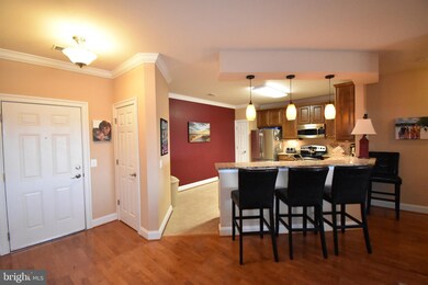 2700 Willow Oak Dr, Cambridge, MD 21613 - photo 7