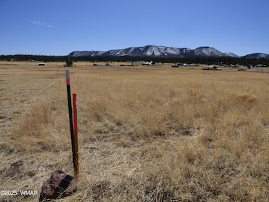 34 CR 2100 Alpine (2)