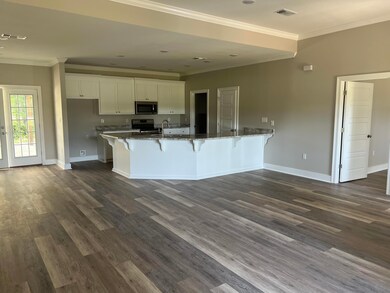 Kitchen-Living Area