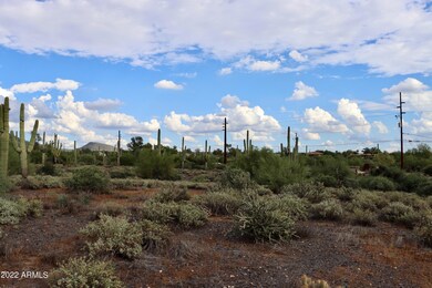 IMG_1394