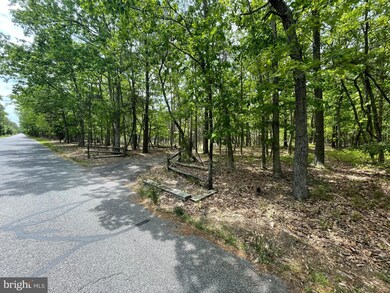 409 Prickets Mill Rd, Tabernacle, NJ 08088 - photo 3