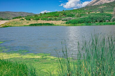 Mallard Pond Stocked with Trout