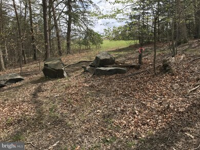 0 Roys Ln unit 1000194671, Glengary, WV 25421 - photo 3