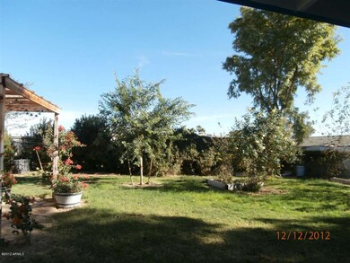 809 N 95th back yard