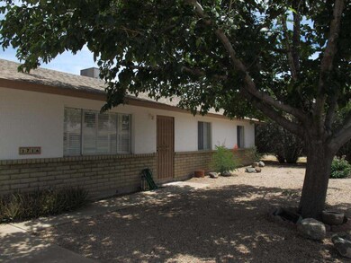Mature trees in front of home