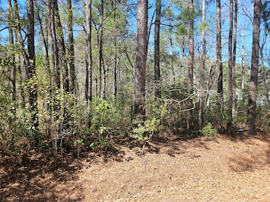 0, Georgetown, SC 29440 - photo 4