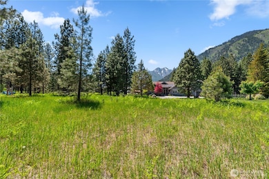 Mixture of meadows and forest