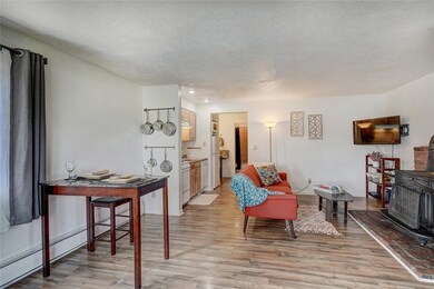 144 Gold Run Cir unit 25, Dillon, CO 80435 - photo 6