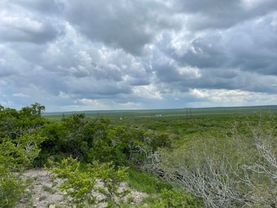 unlisted-address, Freer, TX 78357 - photo 7