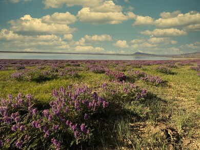 0 Wild Horse Ranch Rd unit Lot 166 11517931, Laramie, WY 82070 - photo 4