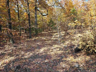 0 Tower Rd, Conway, AR 72032 - photo 4